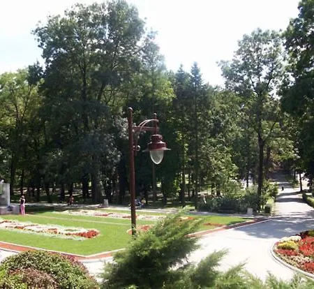 U Bukovickoj Banji 阿然德洛维克