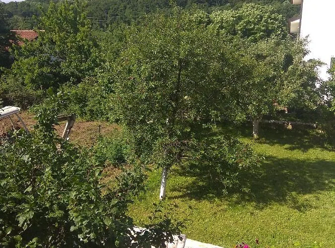 U Bukovickoj Banji *